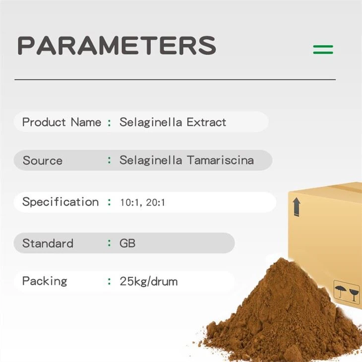 Selaginella Extract
